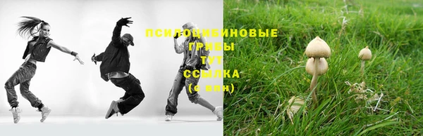 твердый Вязники